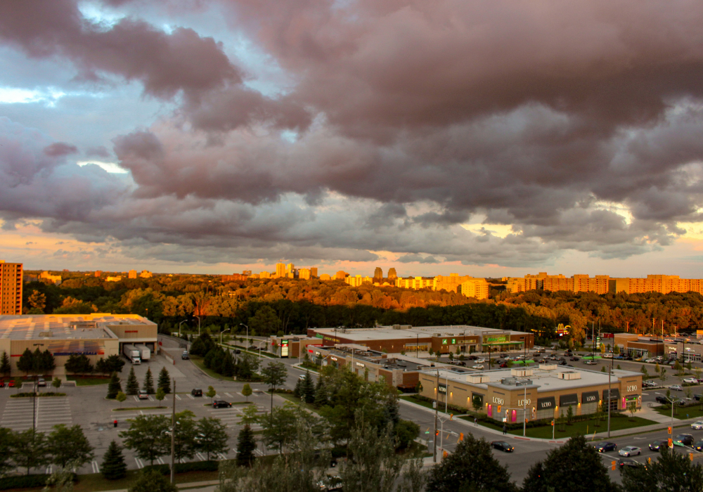 1000x700 regional webpage image size (1)-2