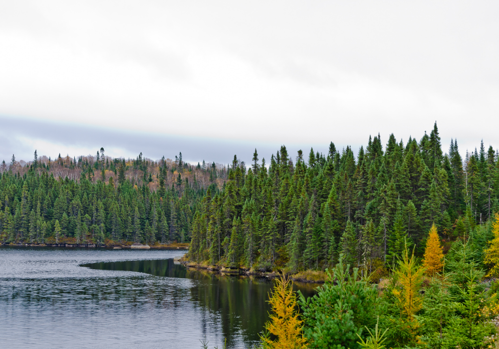1000x700 regional webpage image size (2)-3
