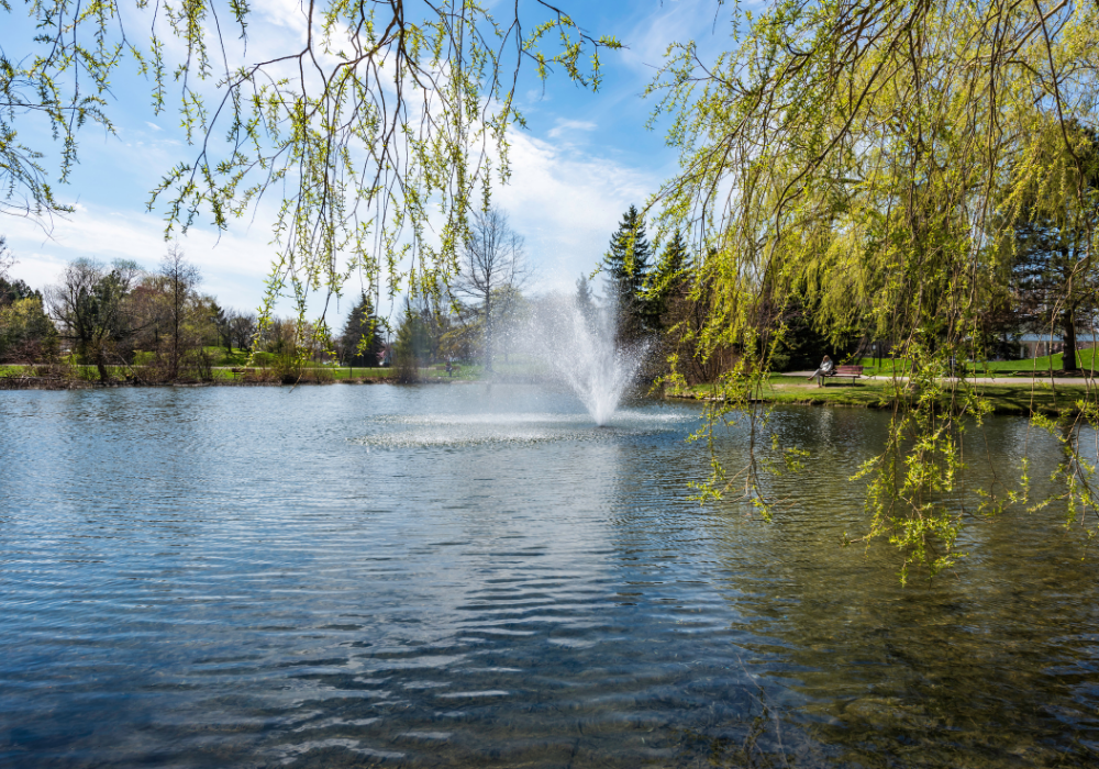 1000x700 regional webpage image size (2)-4