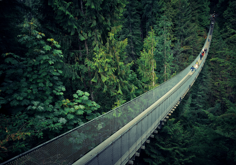 1000x700 regional webpage image size (4)