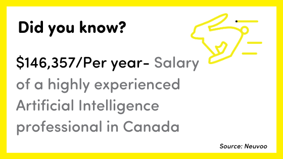 IT Salary Insight